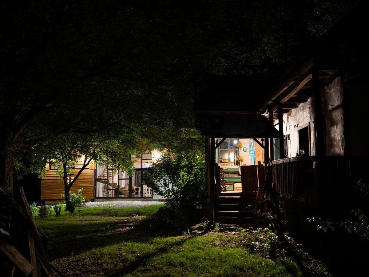 Aster Panzio Bed and Breakfast Cîmpu Cetăţii Buitenkant foto