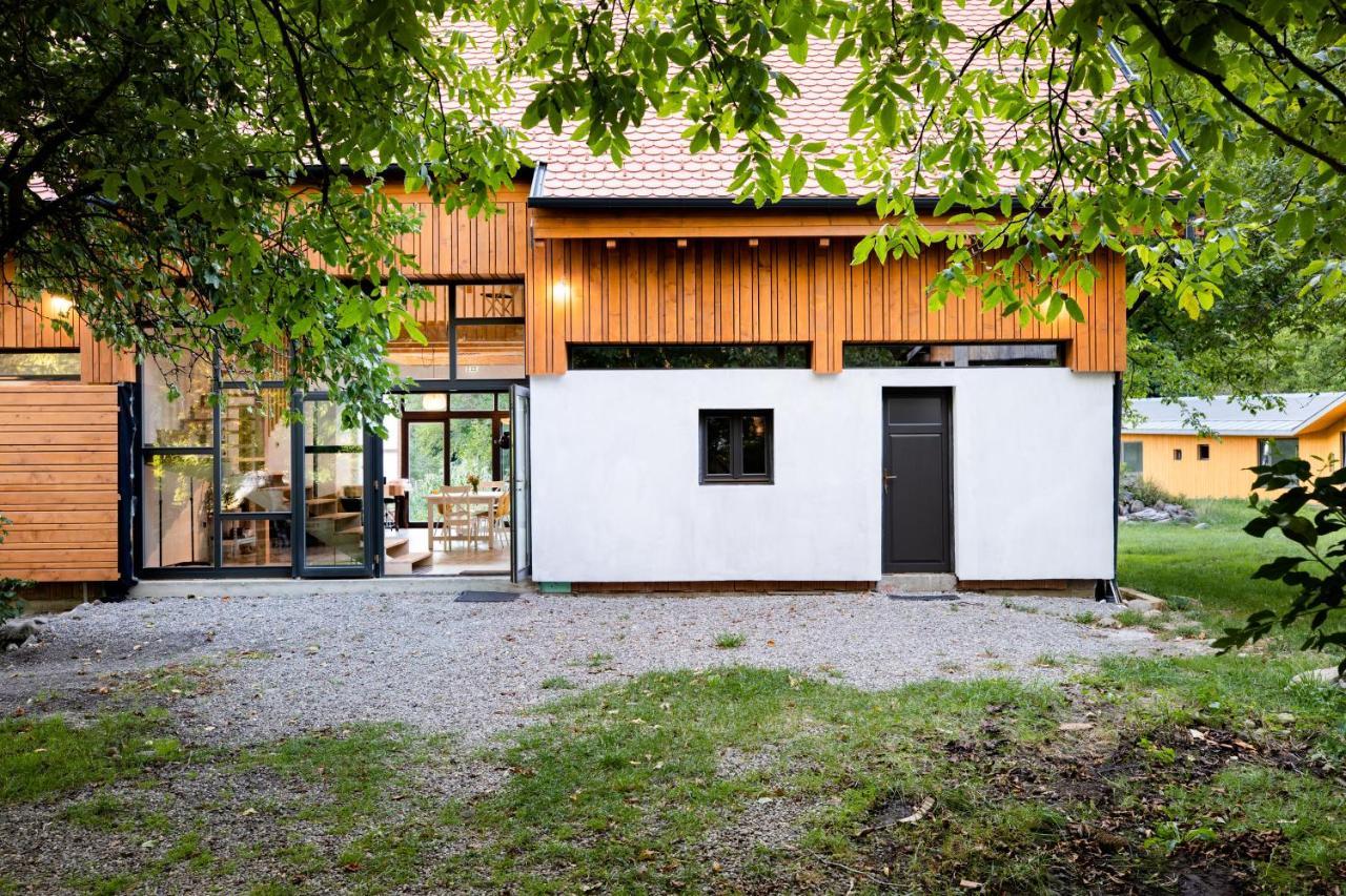 Aster Panzio Bed and Breakfast Cîmpu Cetăţii Buitenkant foto