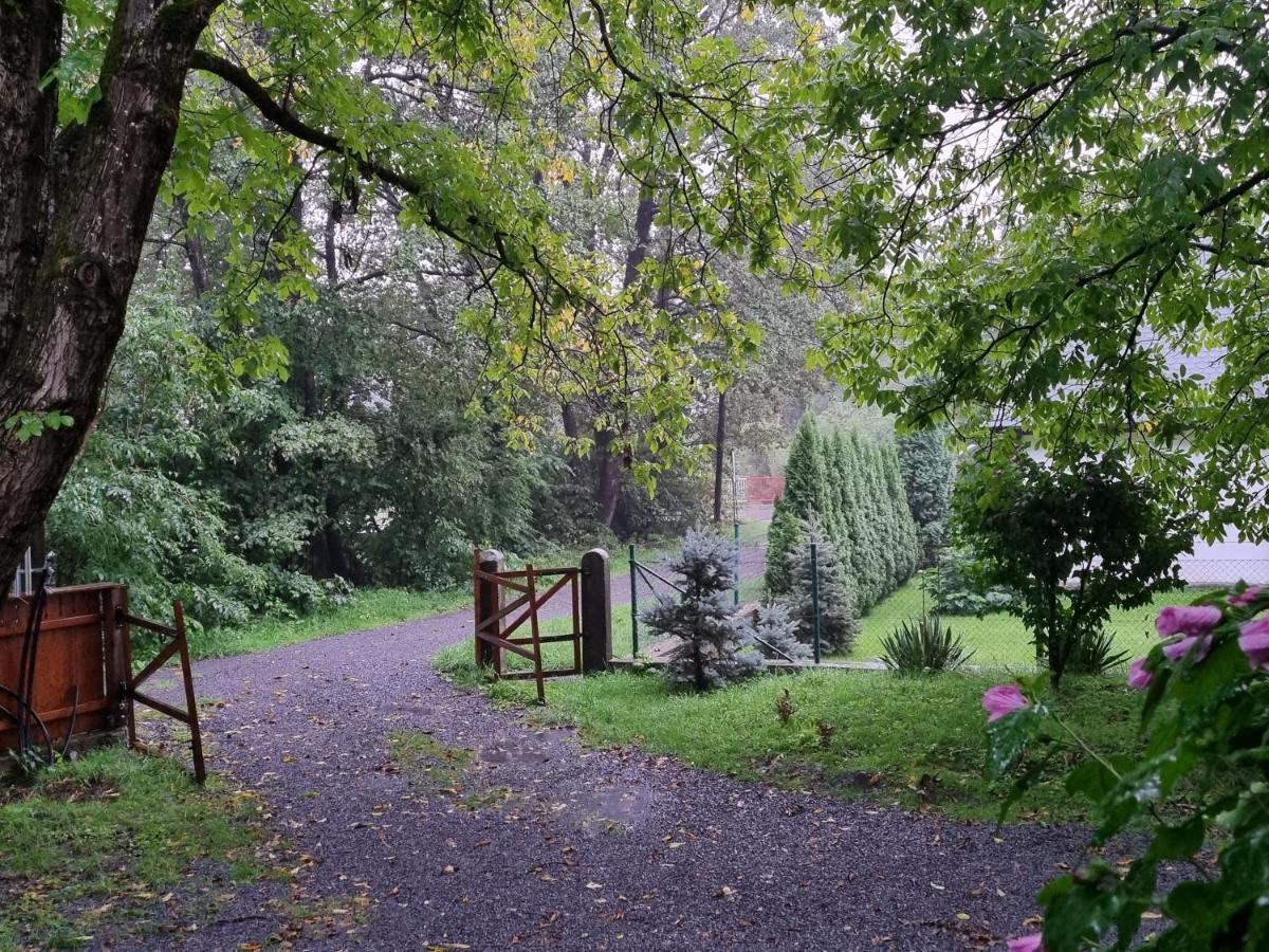 Aster Panzio Bed and Breakfast Cîmpu Cetăţii Buitenkant foto