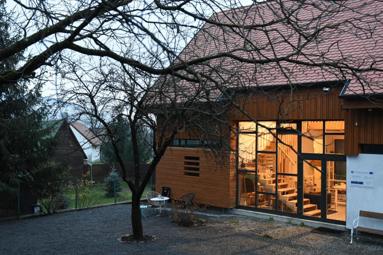 Aster Panzio Bed and Breakfast Cîmpu Cetăţii Buitenkant foto