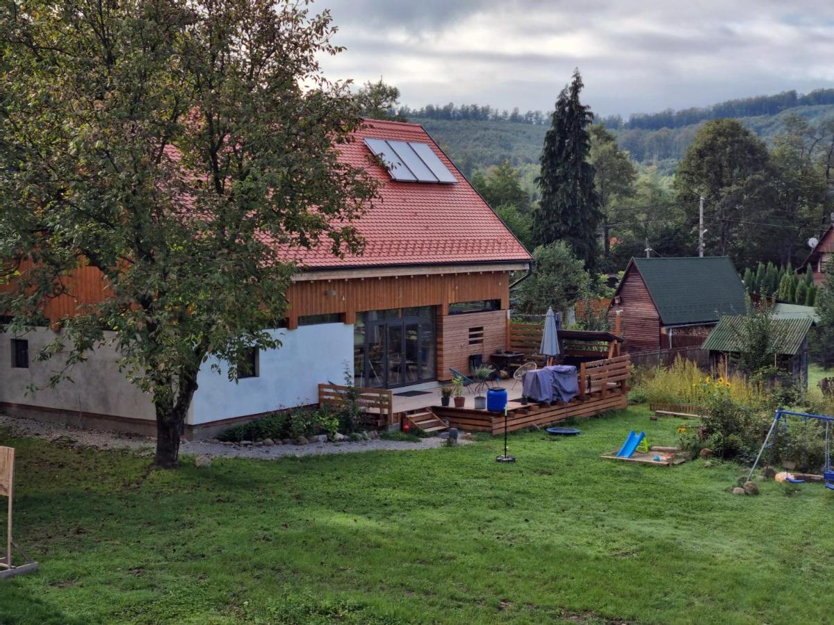 Aster Panzio Bed and Breakfast Cîmpu Cetăţii Buitenkant foto