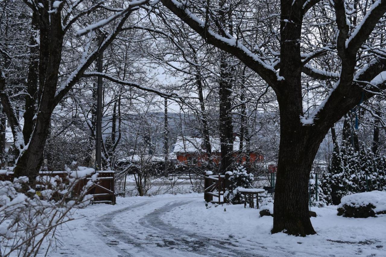 Aster Panzio Bed and Breakfast Cîmpu Cetăţii Buitenkant foto