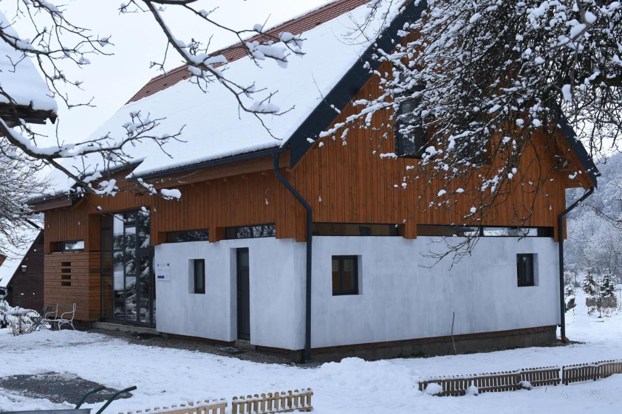Aster Panzio Bed and Breakfast Cîmpu Cetăţii Buitenkant foto