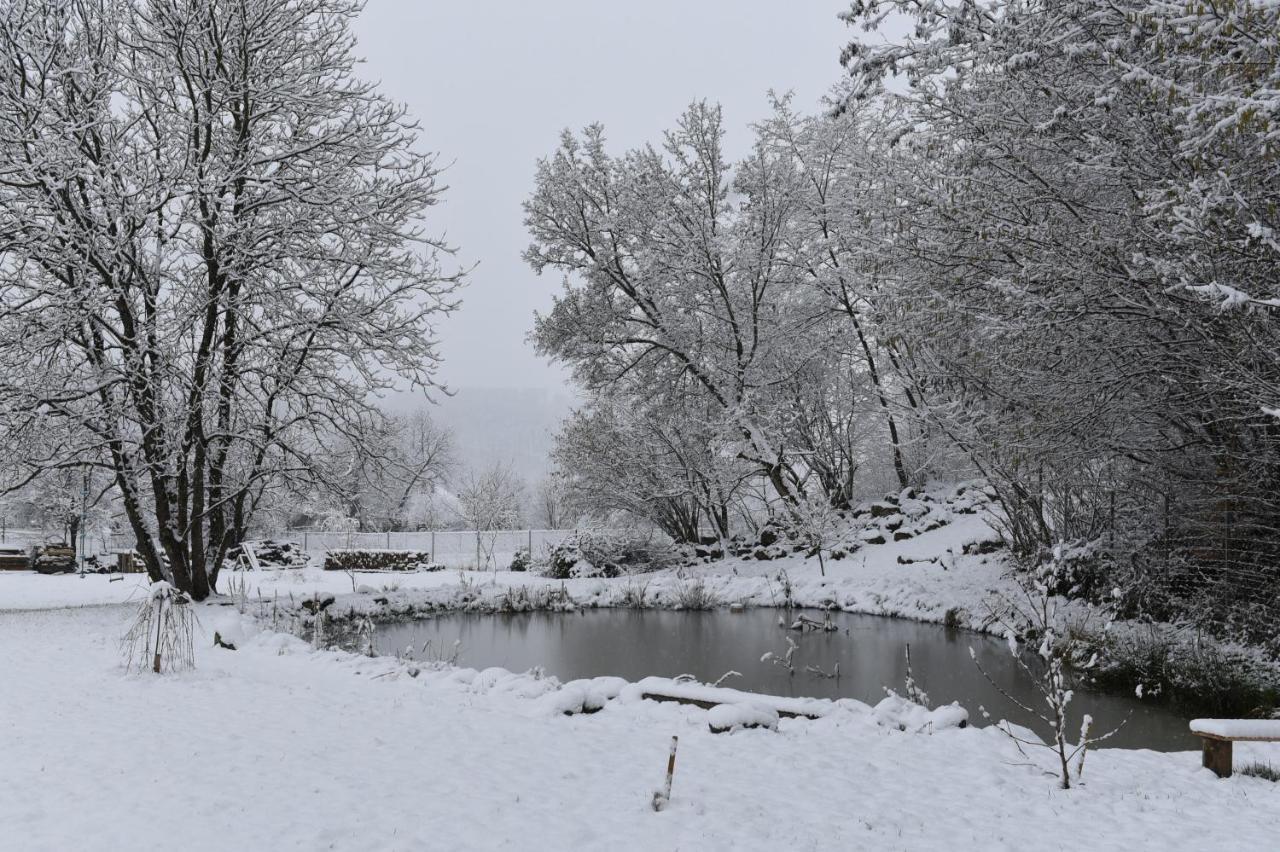 Aster Panzio Bed and Breakfast Cîmpu Cetăţii Buitenkant foto