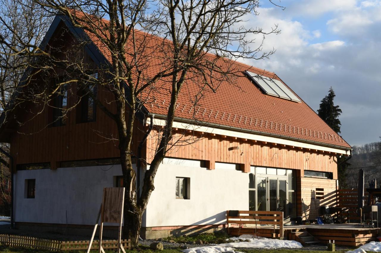 Aster Panzio Bed and Breakfast Cîmpu Cetăţii Buitenkant foto